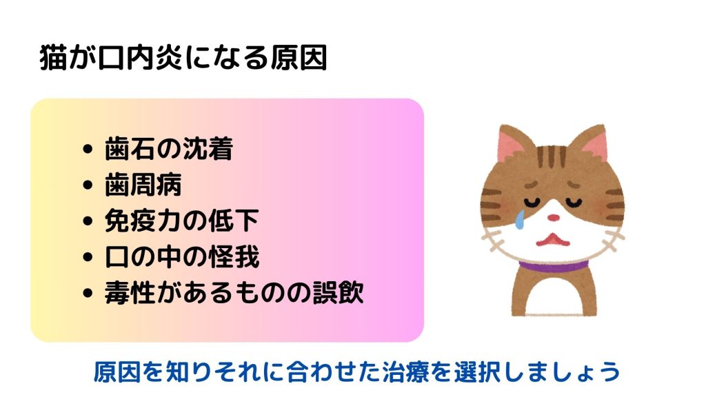 猫が口内炎になる理由になる理由の画像