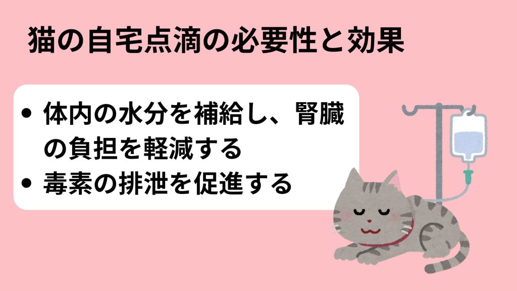 猫の自宅点滴の必要性と効果