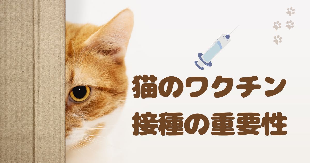 猫のワクチン接種の重要性の画像
